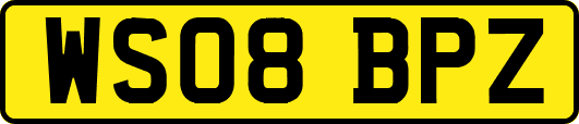 WS08BPZ