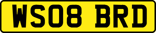 WS08BRD