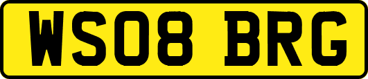 WS08BRG