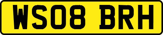 WS08BRH