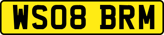 WS08BRM
