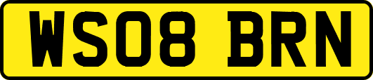 WS08BRN