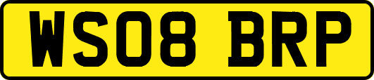 WS08BRP