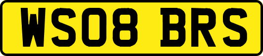 WS08BRS