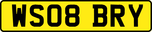 WS08BRY