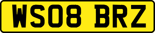 WS08BRZ