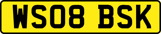WS08BSK