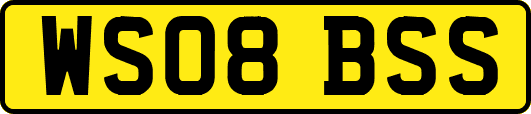 WS08BSS