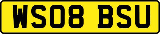 WS08BSU