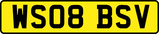 WS08BSV