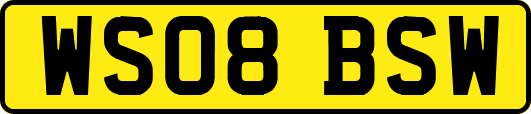 WS08BSW