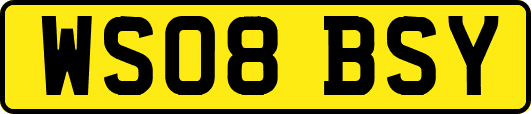 WS08BSY