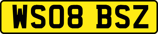 WS08BSZ