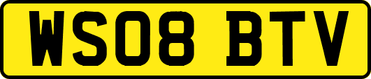 WS08BTV