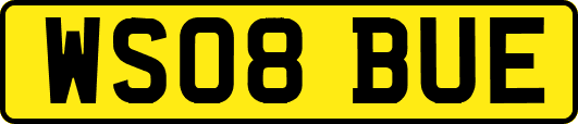 WS08BUE