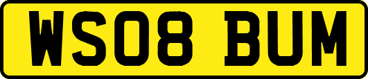 WS08BUM