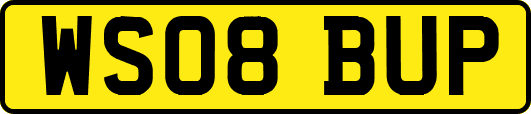 WS08BUP