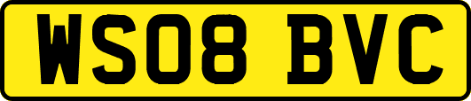WS08BVC