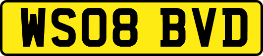 WS08BVD