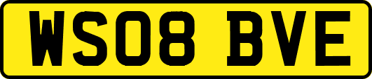 WS08BVE