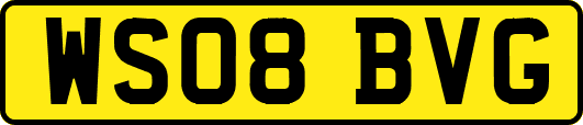 WS08BVG