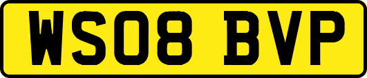 WS08BVP