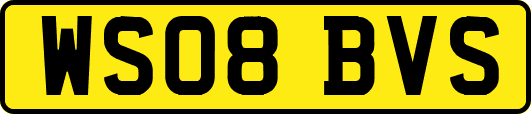 WS08BVS