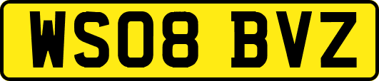 WS08BVZ
