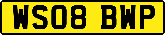 WS08BWP