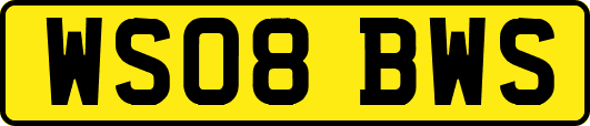 WS08BWS