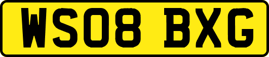 WS08BXG