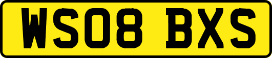 WS08BXS