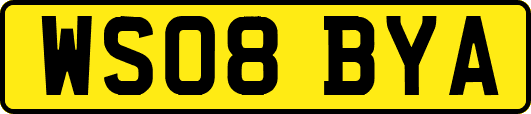 WS08BYA