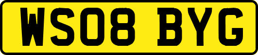 WS08BYG