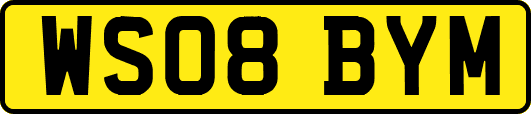 WS08BYM