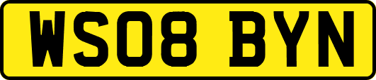 WS08BYN
