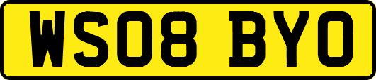 WS08BYO