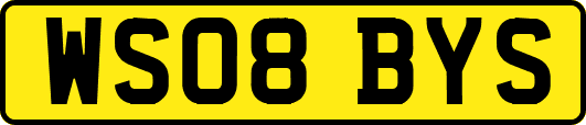 WS08BYS