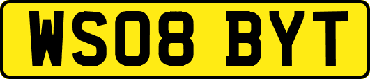 WS08BYT
