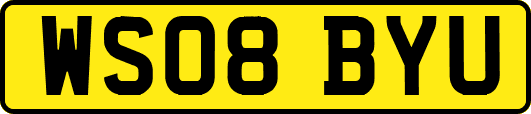 WS08BYU