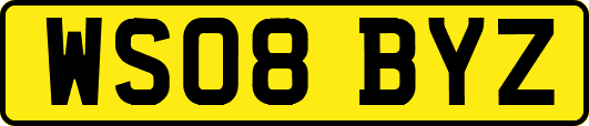 WS08BYZ