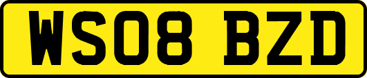 WS08BZD