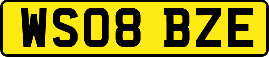 WS08BZE
