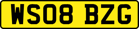 WS08BZG