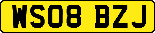 WS08BZJ