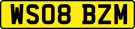 WS08BZM