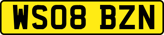 WS08BZN