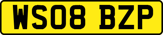 WS08BZP