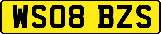 WS08BZS