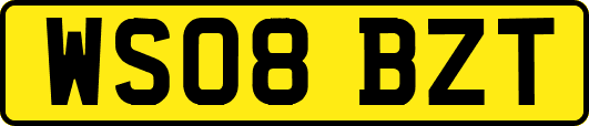 WS08BZT